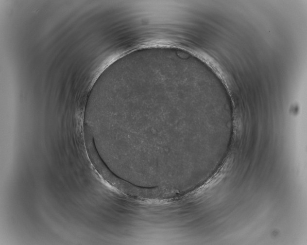 X0000099301337200805161340