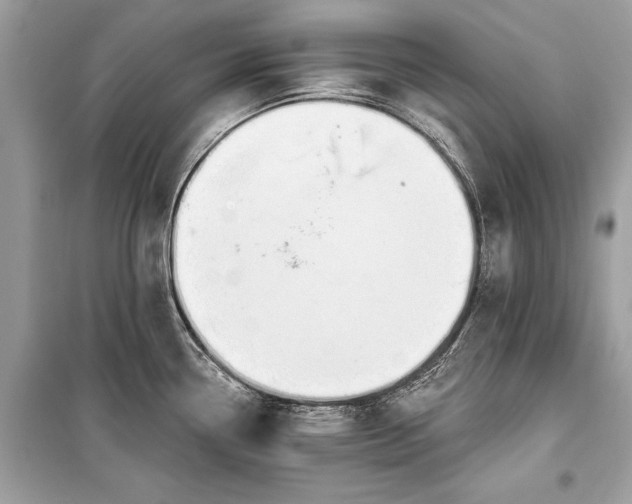 X0000099301338200805161340