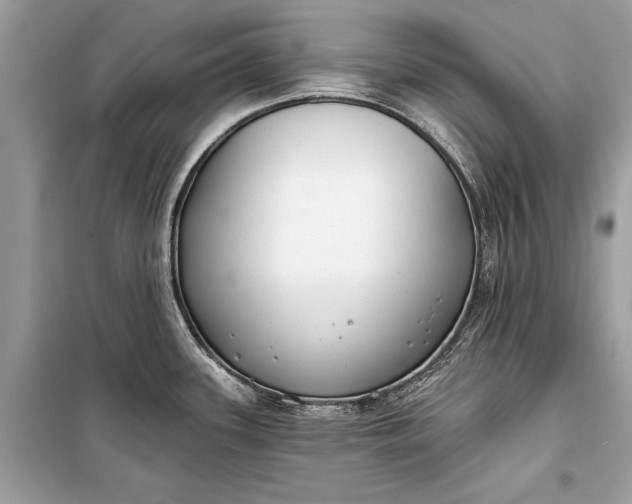 X0000099301339200805161340