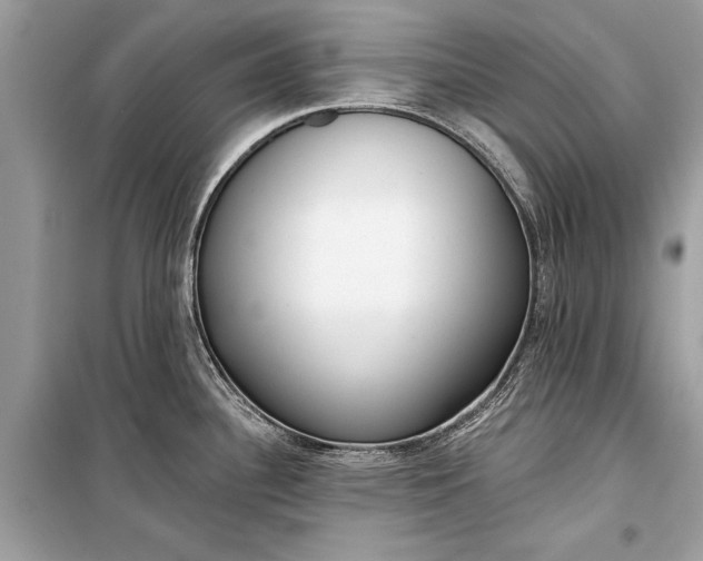 X0000099301340200805161340