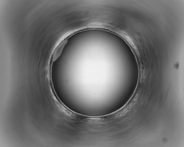 X0000099301342200805161340