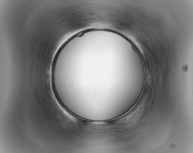 X0000099301343200805161340