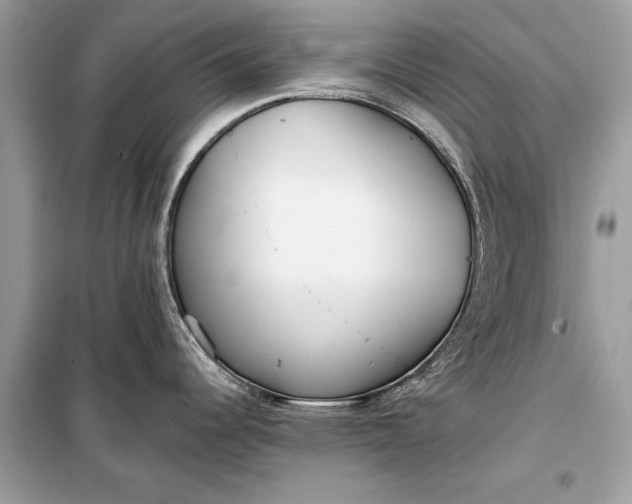 X0000099301344200805161340