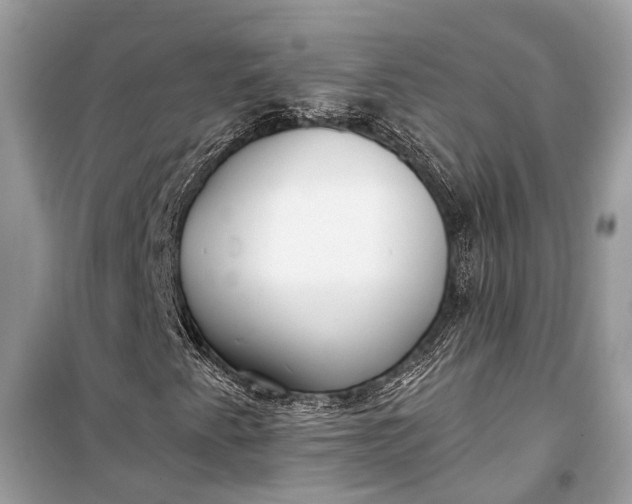 X0000099301345200805161339