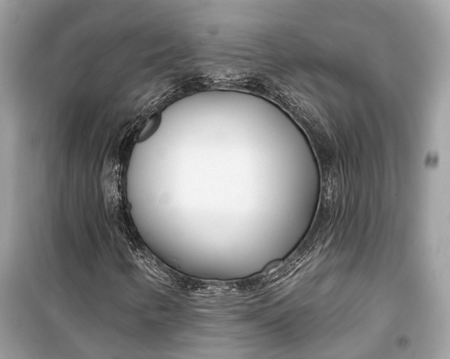 X0000099301346200805161339