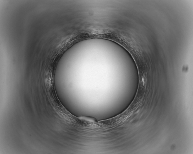 X0000099301348200805161339