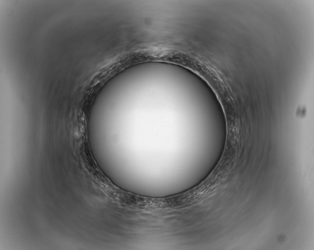 X0000099301349200805161339