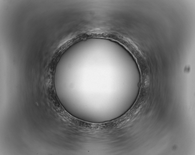 X0000099301350200805161339