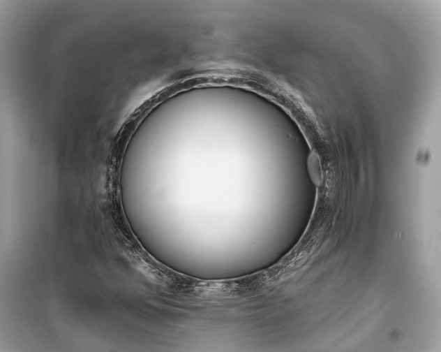 X0000099301352200805161339