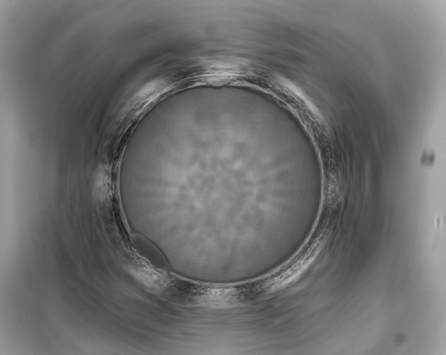 X0000099301353200805161339