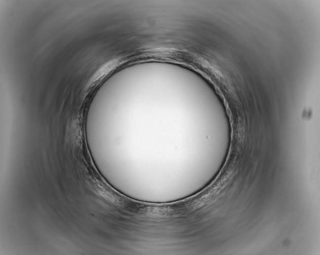 X0000099301354200805161339