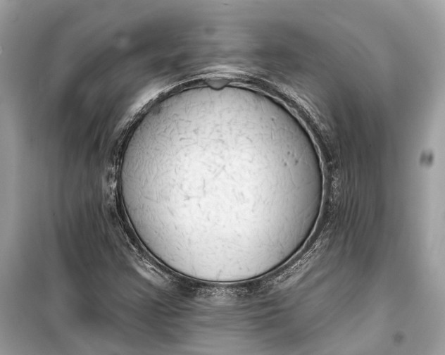 X0000099301355200805161339