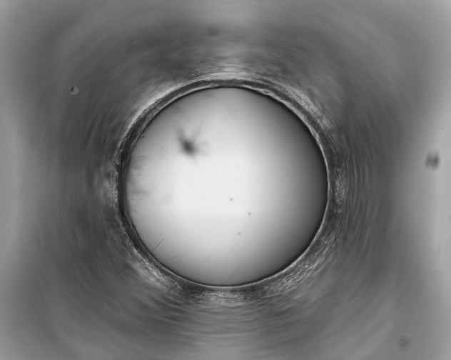 X0000099301356200805161339