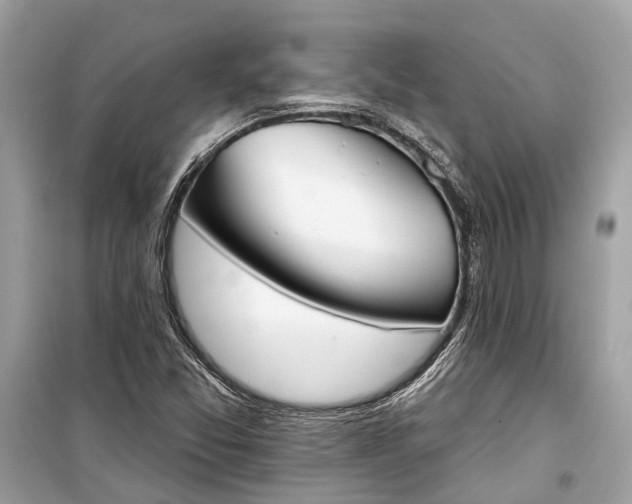 X0000099301357200805161339