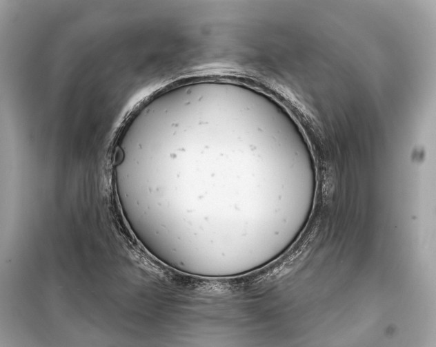 X0000099301358200805161339