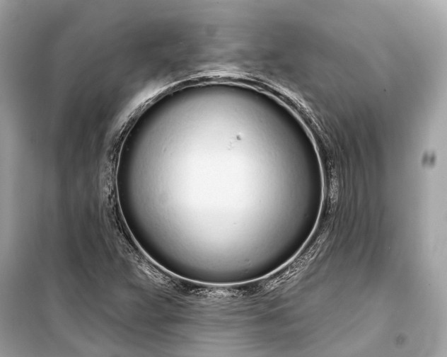 X0000099301359200805161339