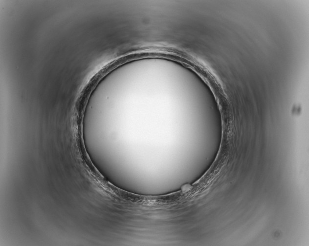 X0000099301360200805161339