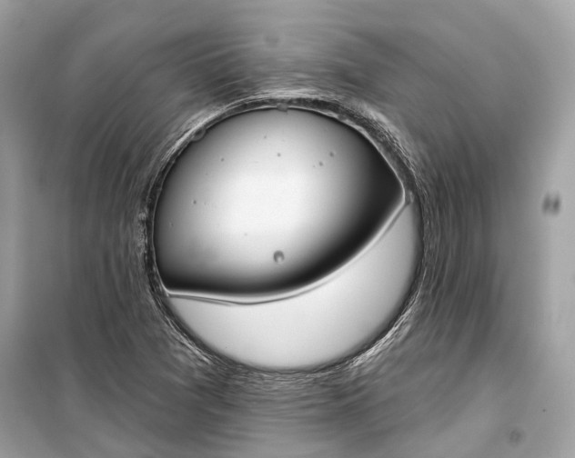 X0000099301361200805161339