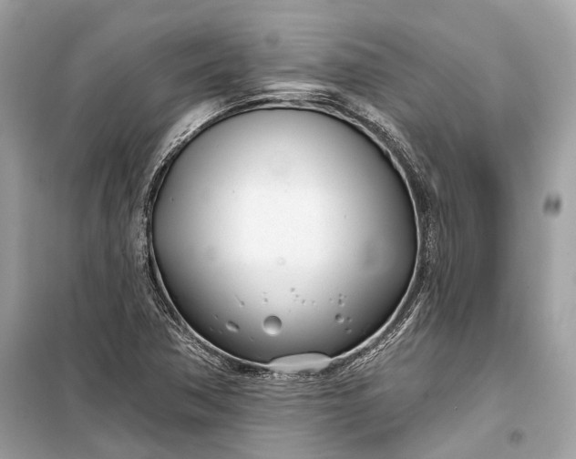 X0000099301362200805161339