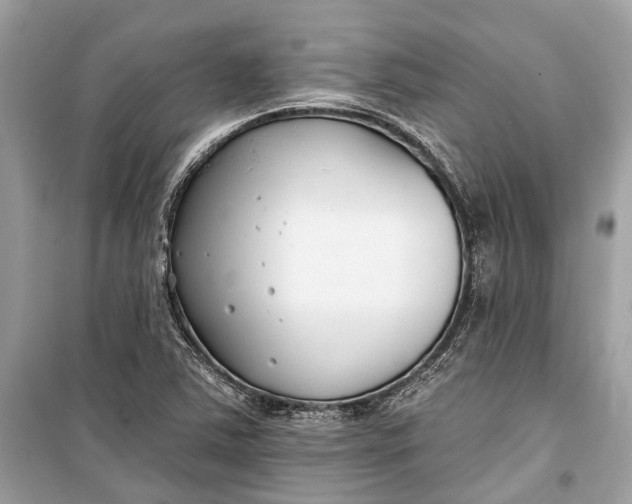 X0000099301363200805161339