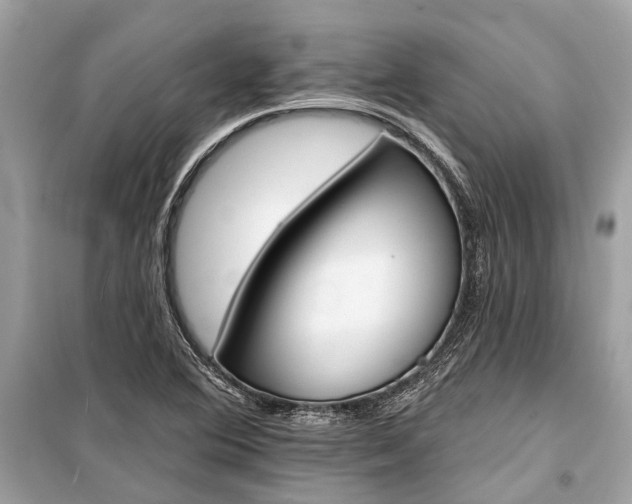 X0000099301364200805161339