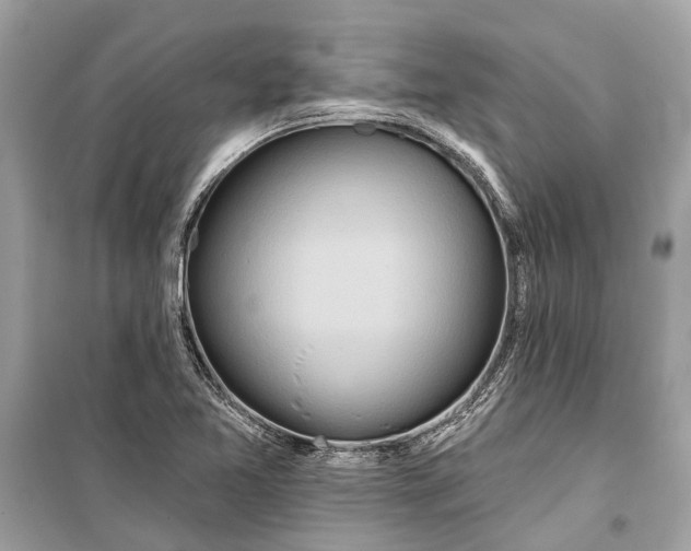 X0000099301365200805161339