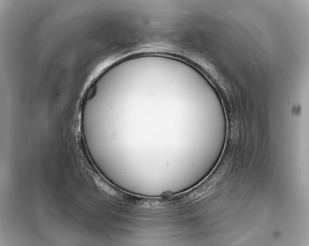 X0000099301366200805161339