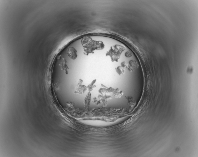 X0000099301367200805161339