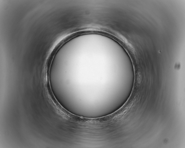 X0000099301368200805161339