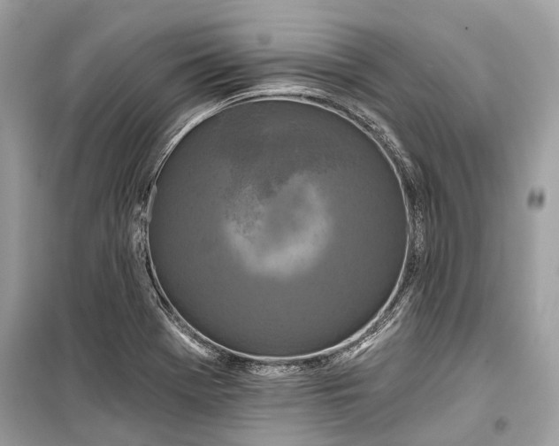 X0000099301369200805161339