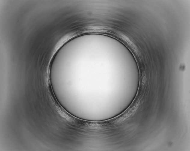 X0000099301370200805161339