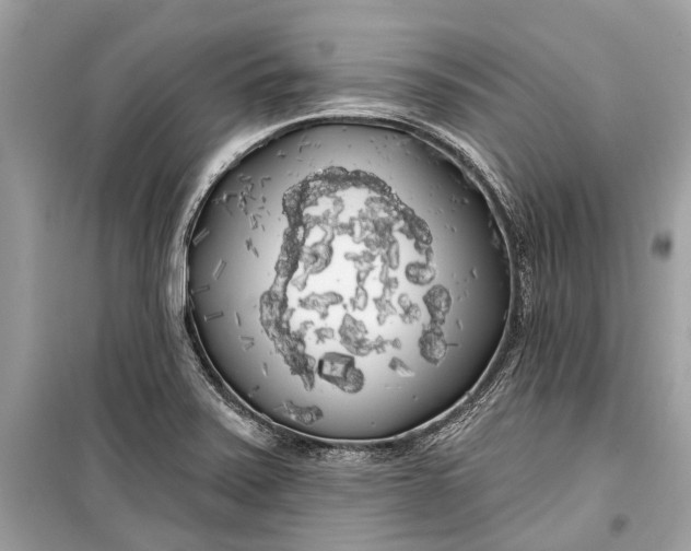 X0000099301371200805161339