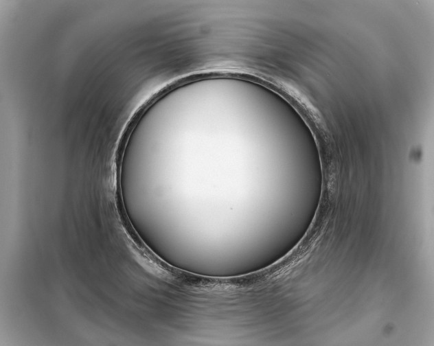 X0000099301372200805161339