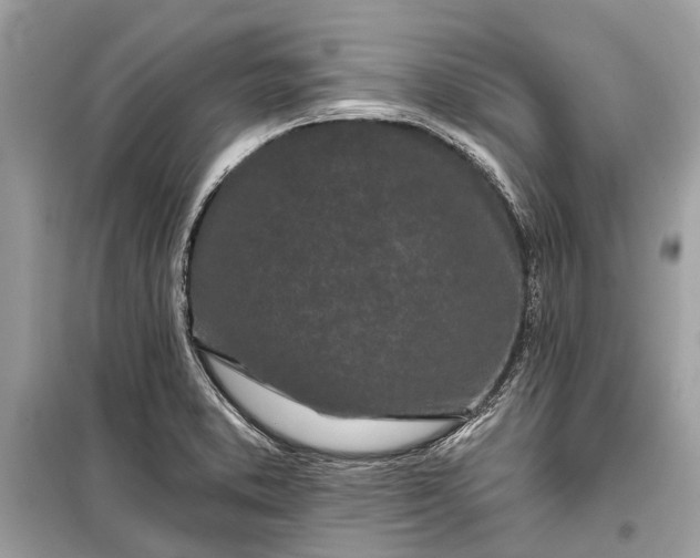 X0000099301373200805161339