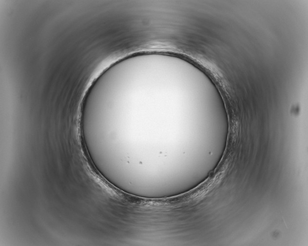 X0000099301374200805161339