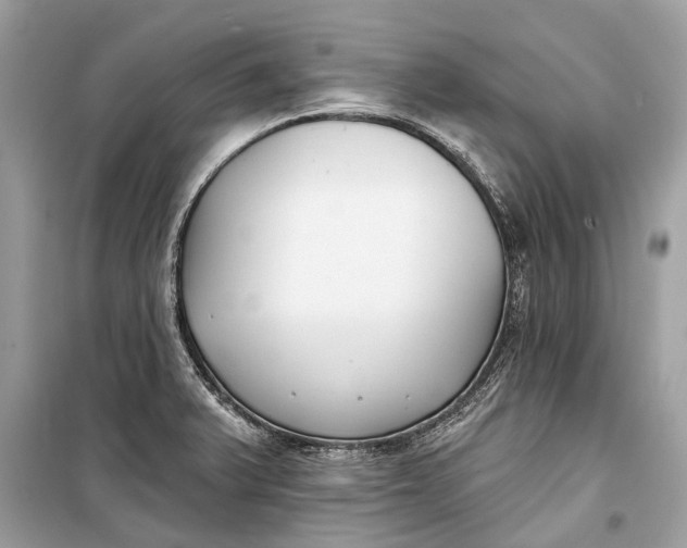 X0000099301375200805161339