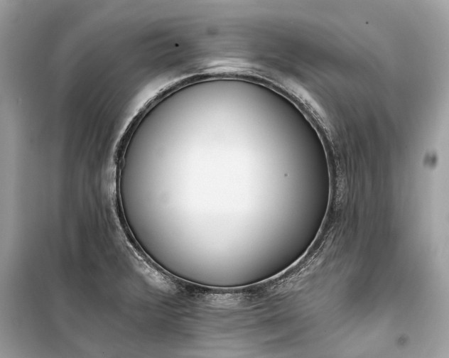 X0000099301376200805161339