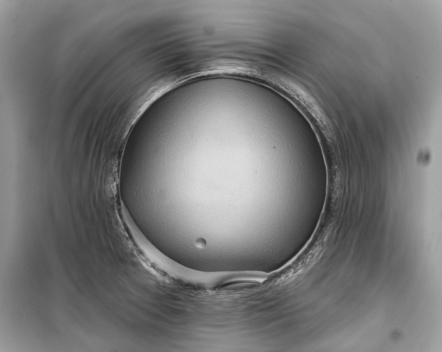 X0000099301377200805161339