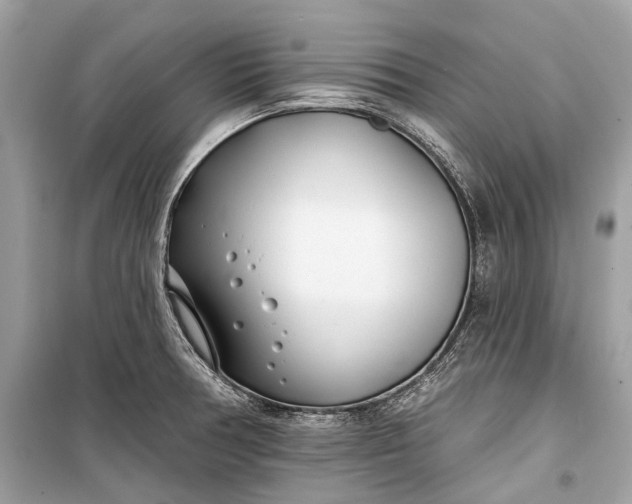 X0000099301378200805161338