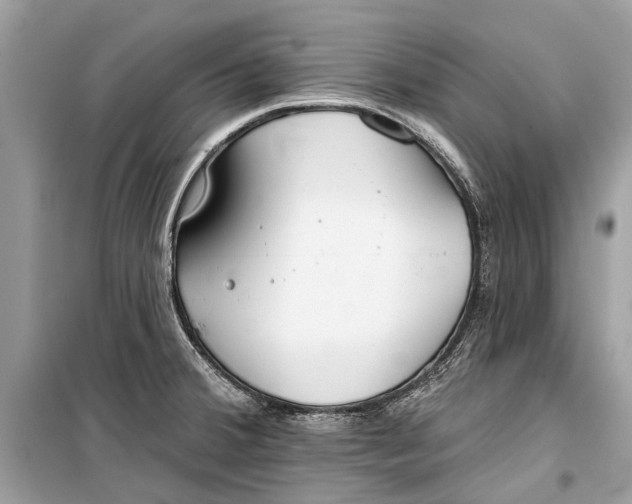 X0000099301380200805161338