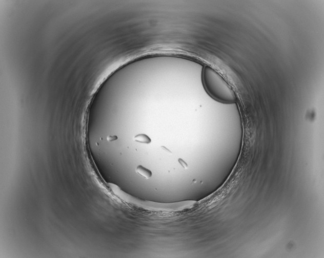 X0000099301382200805161338