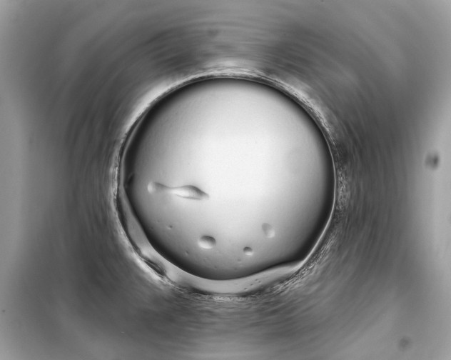 X0000099301383200805161338