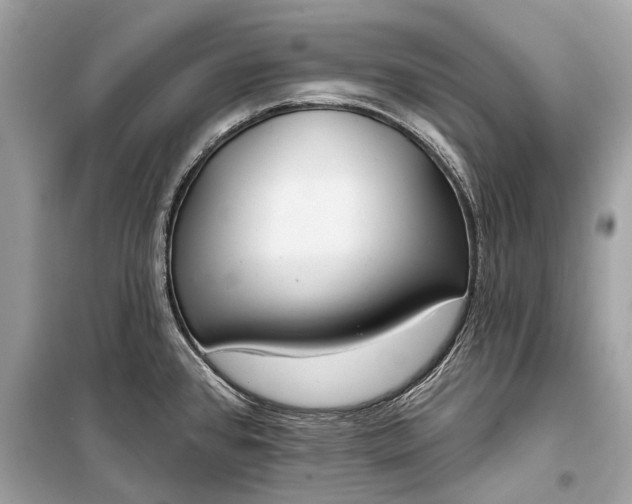 X0000099301384200805161338