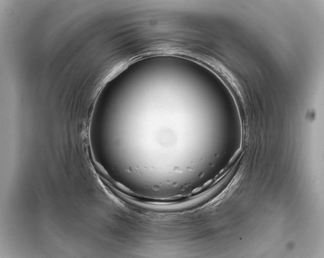 X0000099301385200805161338