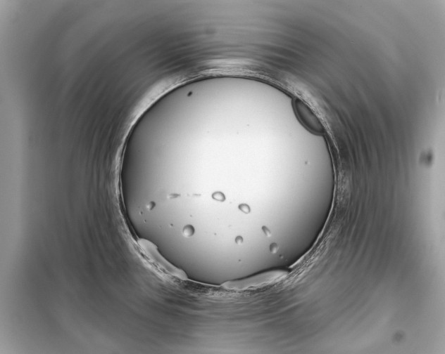 X0000099301386200805161338