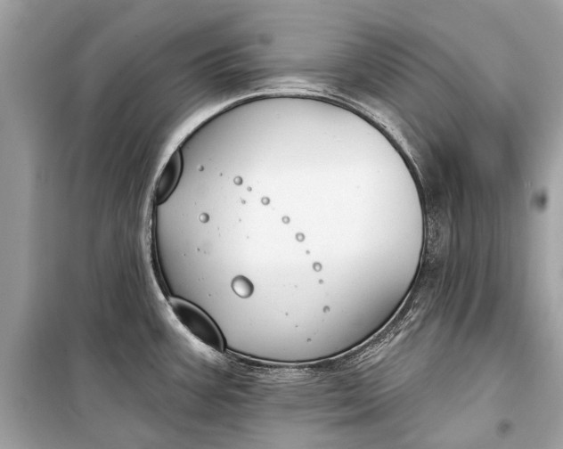 X0000099301387200805161338