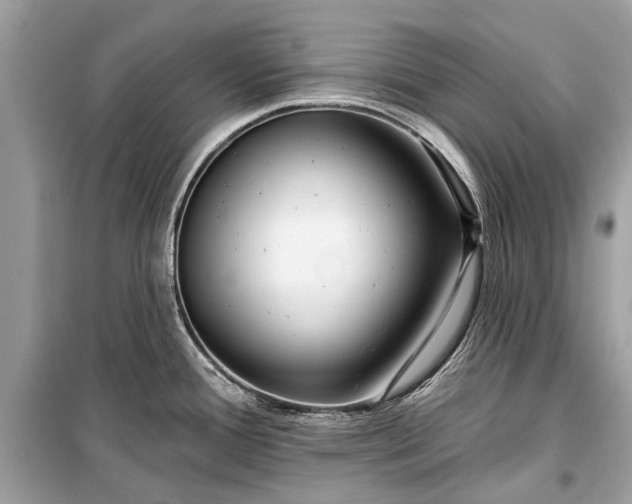 X0000099301388200805161338