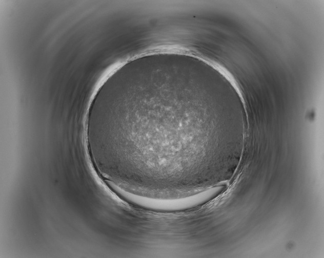 X0000099301389200805161338