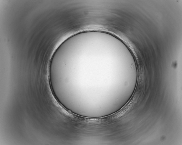 X0000099301390200805161338