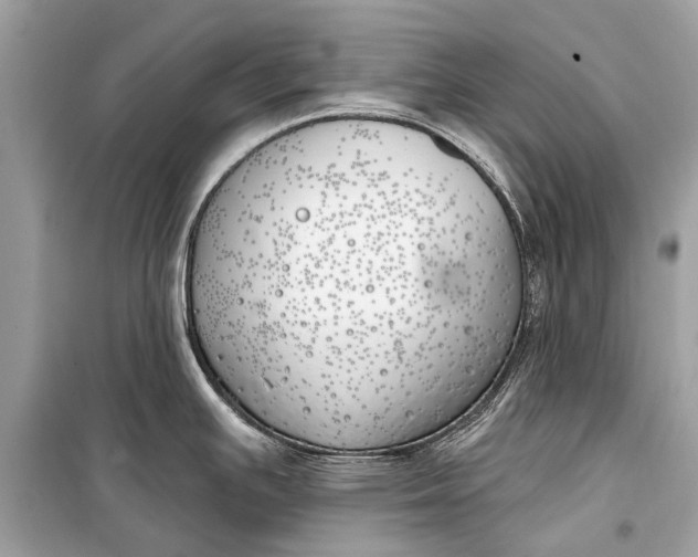 X0000099301391200805161338